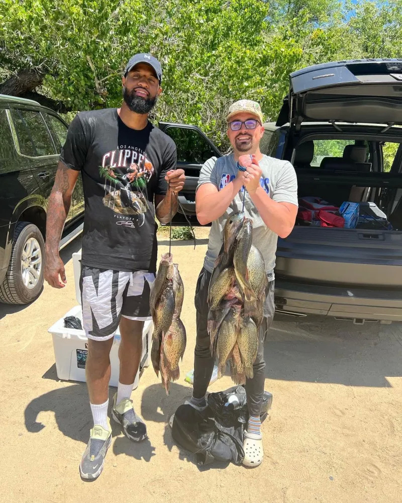 战术执行 战术执行