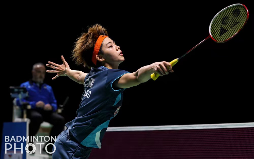 不仅迅速成 不仅迅速成